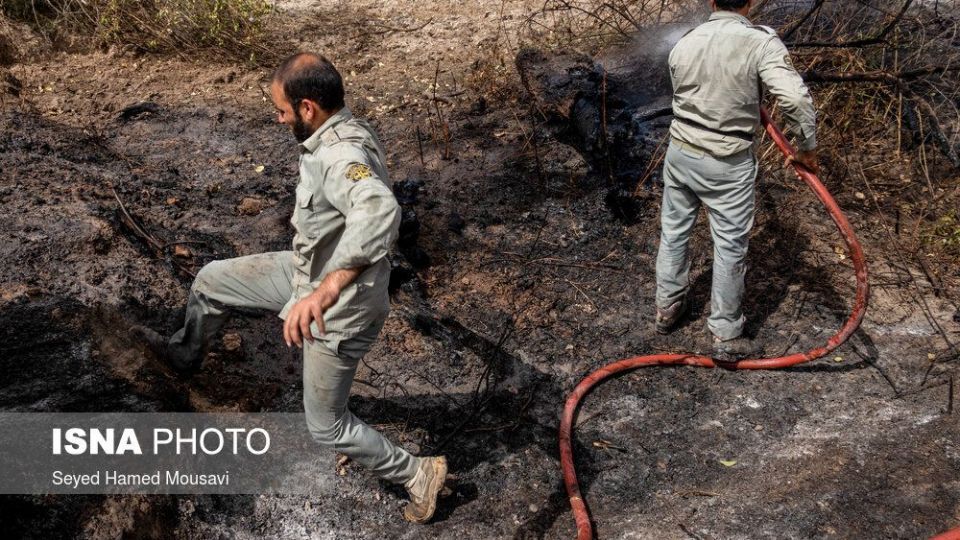 مهار آتش سوزی جنگل کرخه در شوش