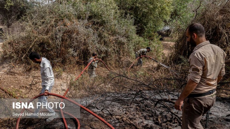 مهار آتش سوزی جنگل کرخه در شوش