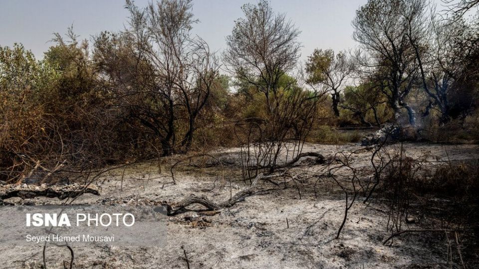 مهار آتش سوزی جنگل کرخه در شوش