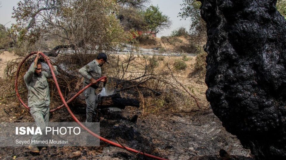 مهار آتش سوزی جنگل کرخه در شوش