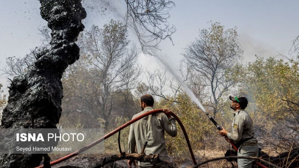 مهار آتش سوزی جنگل کرخه در شوش