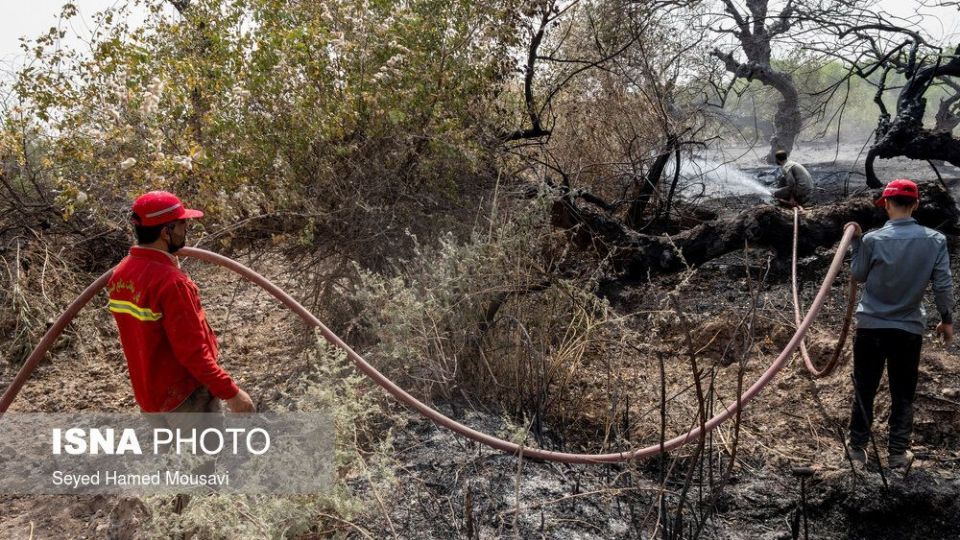 مهار آتش سوزی جنگل کرخه در شوش