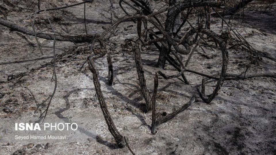 مهار آتش سوزی جنگل کرخه در شوش