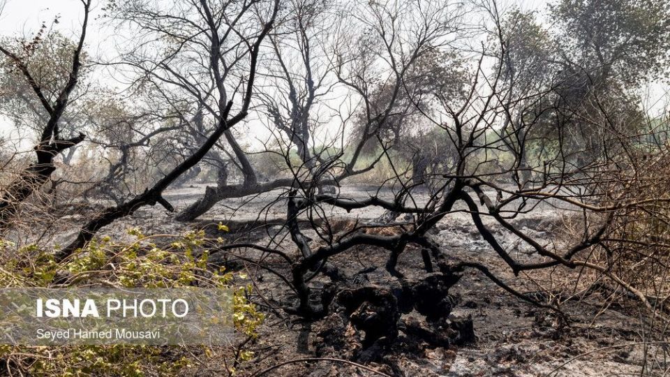 مهار آتش سوزی جنگل کرخه در شوش
