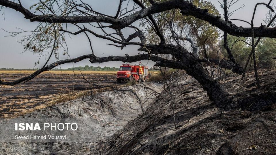 مهار آتش سوزی جنگل کرخه در شوش