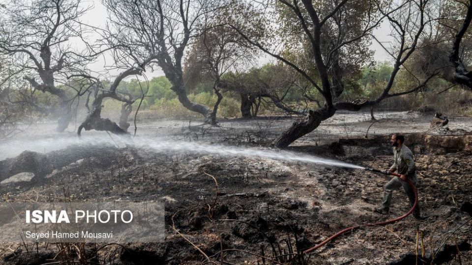 مهار آتش سوزی جنگل کرخه در شوش