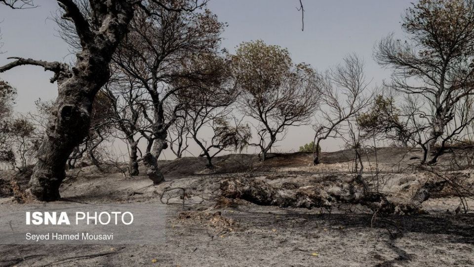مهار آتش سوزی جنگل کرخه در شوش