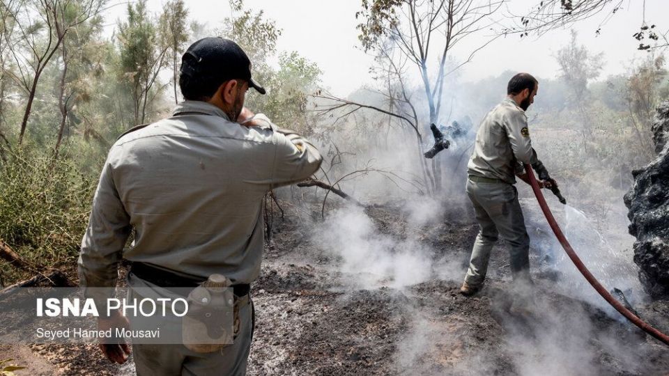 مهار آتش سوزی جنگل کرخه در شوش