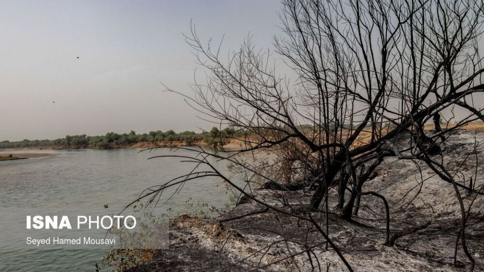 مهار آتش سوزی جنگل کرخه در شوش