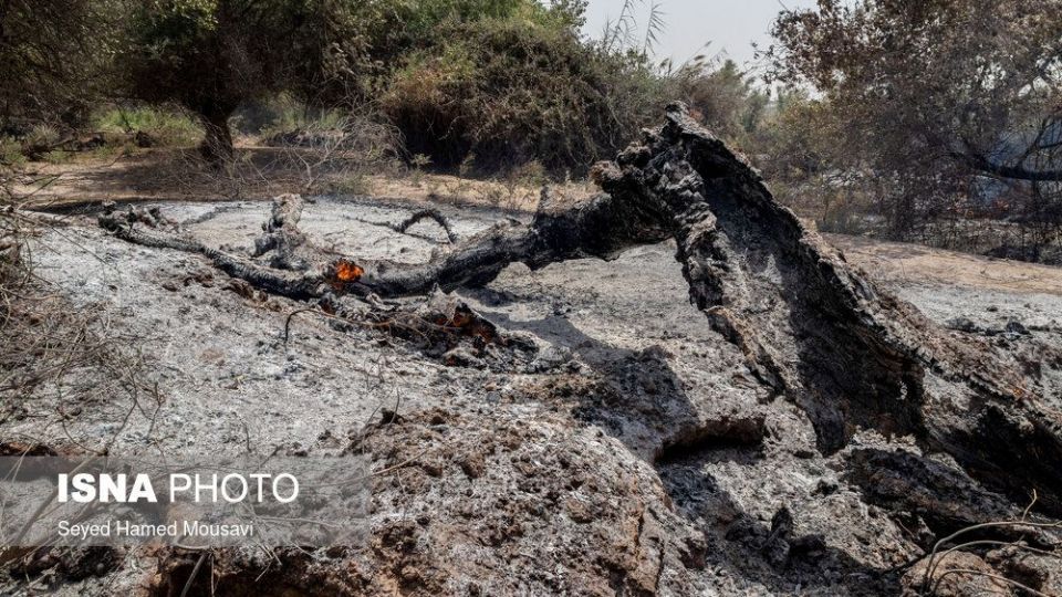 مهار آتش سوزی جنگل کرخه در شوش