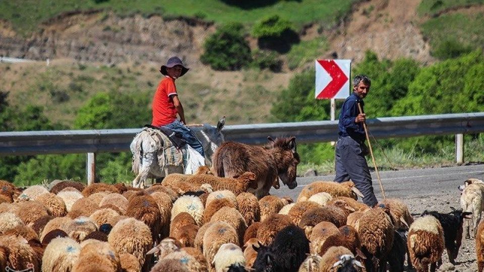 آغاز کوچ عشایر قره داغ