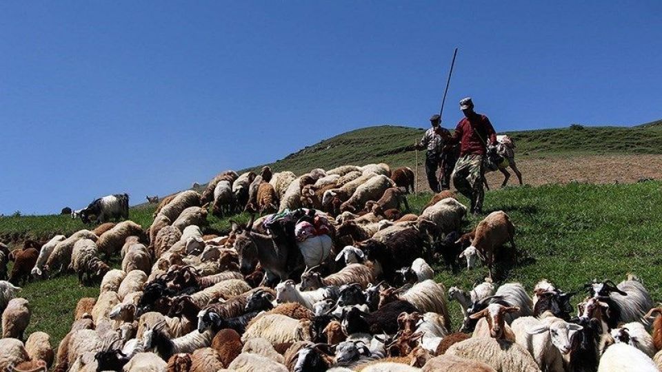 آغاز کوچ عشایر قره داغ