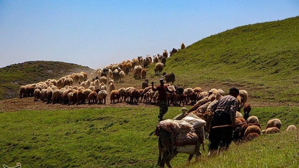 آغاز کوچ عشایر قره داغ