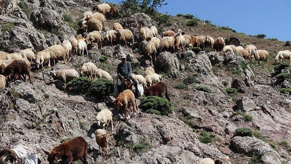 آغاز کوچ عشایر قره داغ