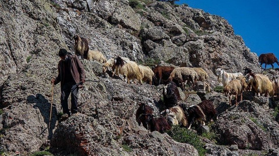 آغاز کوچ عشایر قره داغ