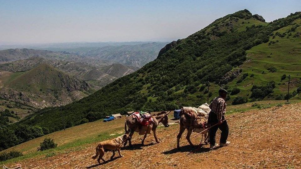 آغاز کوچ عشایر قره داغ