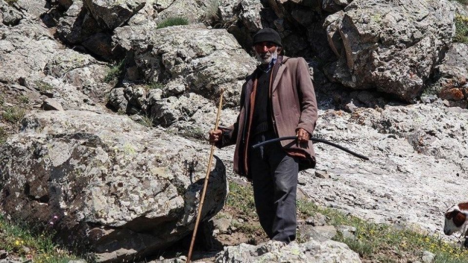 آغاز کوچ عشایر قره داغ