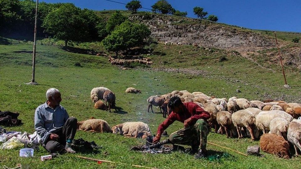 آغاز کوچ عشایر قره داغ