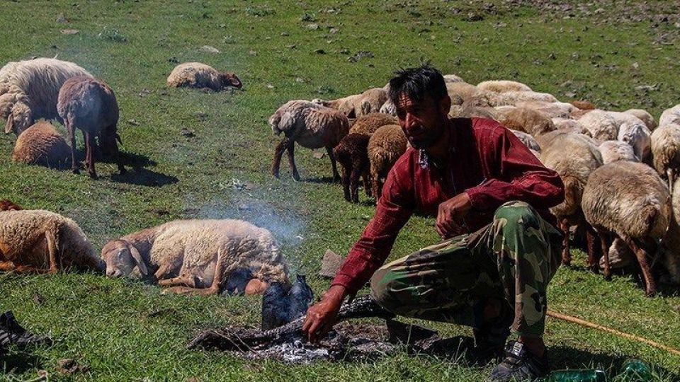 آغاز کوچ عشایر قره داغ