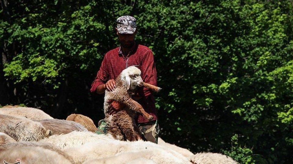 آغاز کوچ عشایر قره داغ