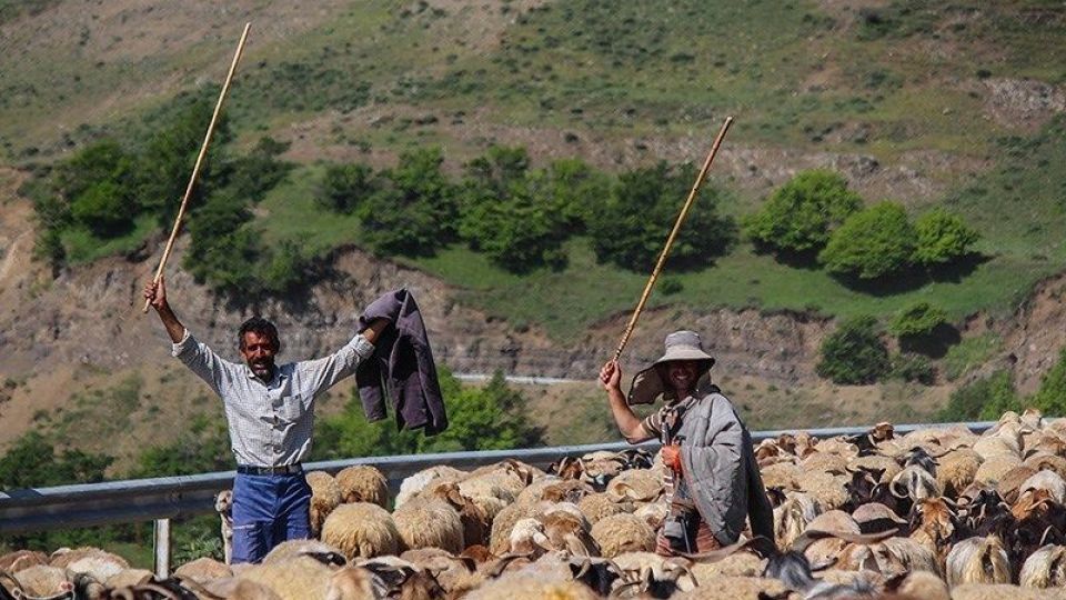 آغاز کوچ عشایر قره داغ