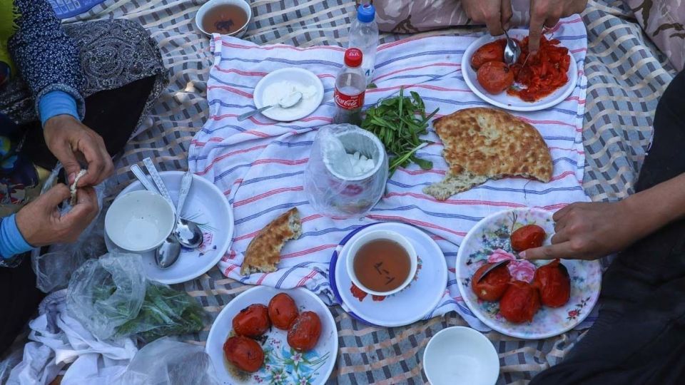 برداشت هلو در باغات گلستان