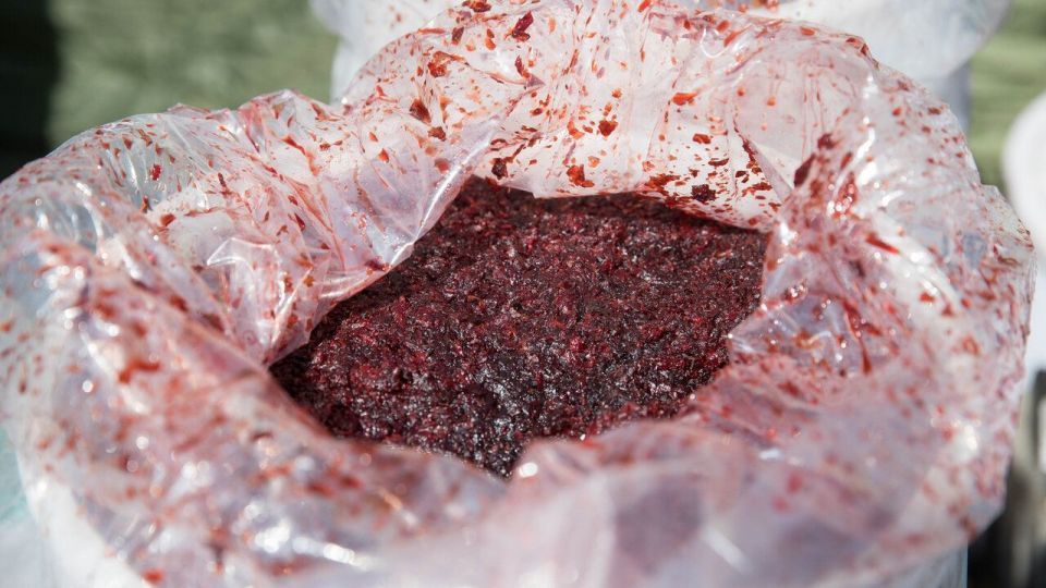 اجرای مرحله ۴۵ طرح رعد پلیس پیشگیری پایتخت