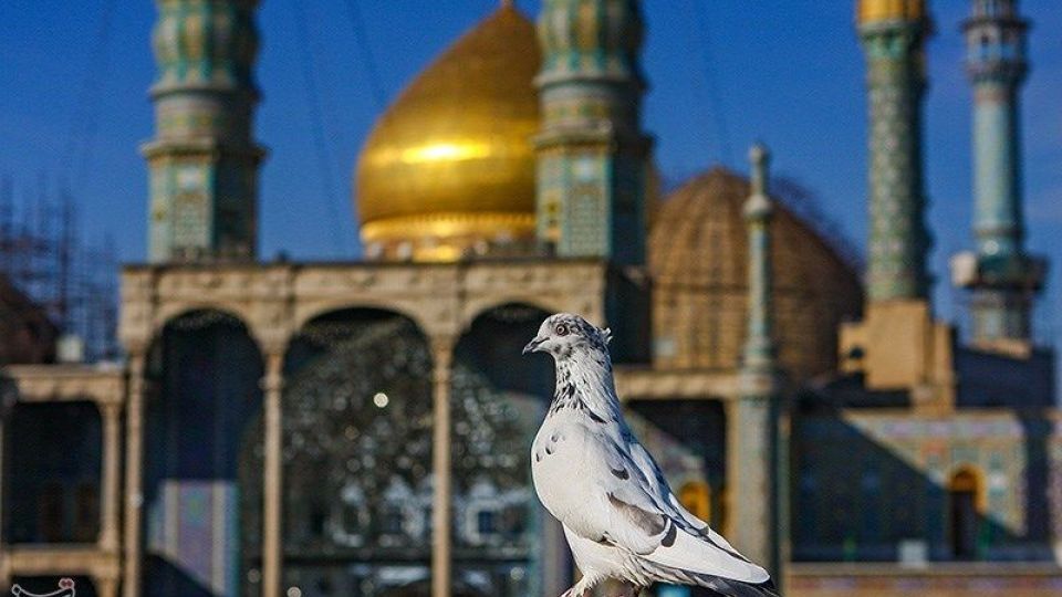 بمناسبت ولادت حضرت معصومه (س)