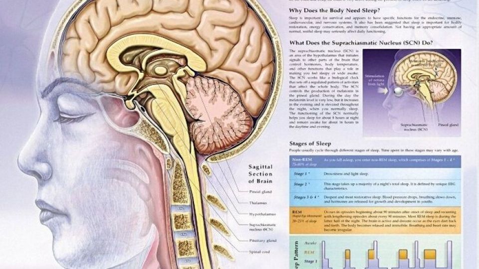 کمبود خواب به عملکرد عروق خونی آسیب می‌رساند