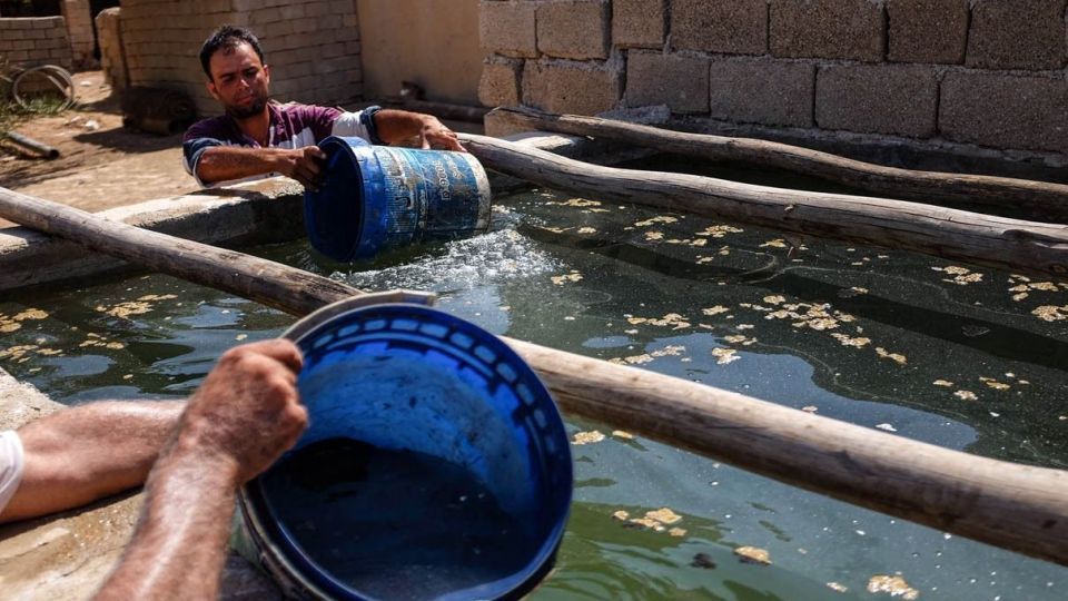 خشکسالی «منصوره»