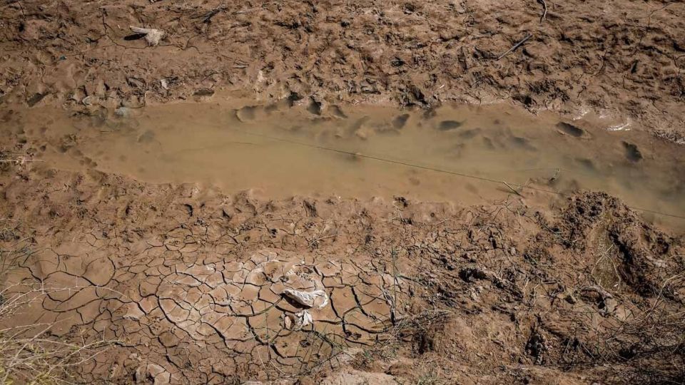 خشکسالی «منصوره»