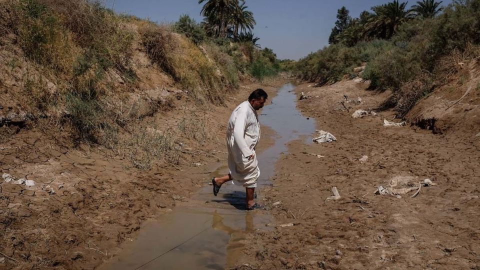 خشکسالی «منصوره»