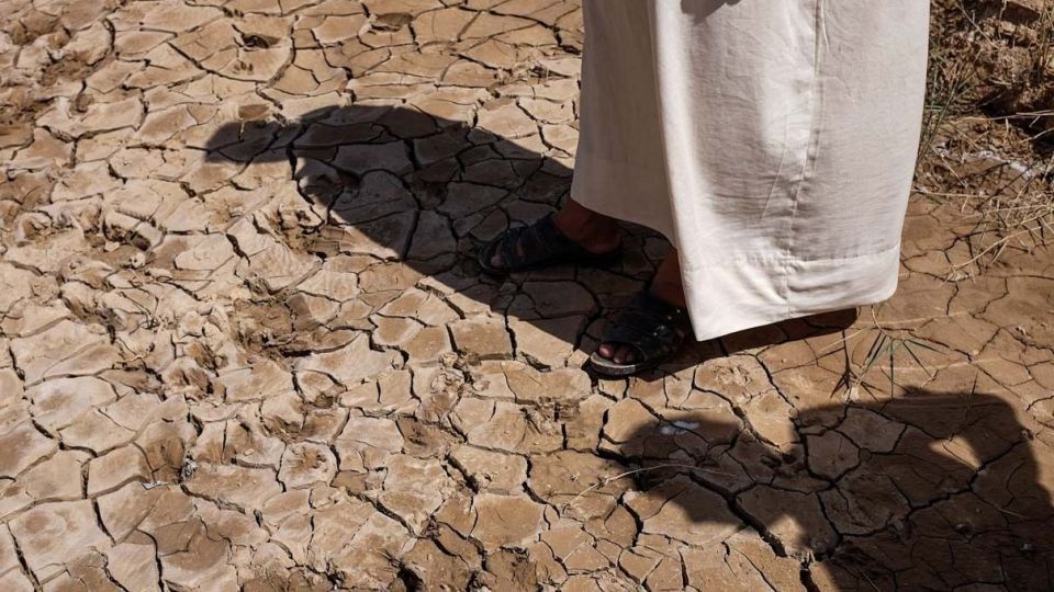 خشکسالی «منصوره»