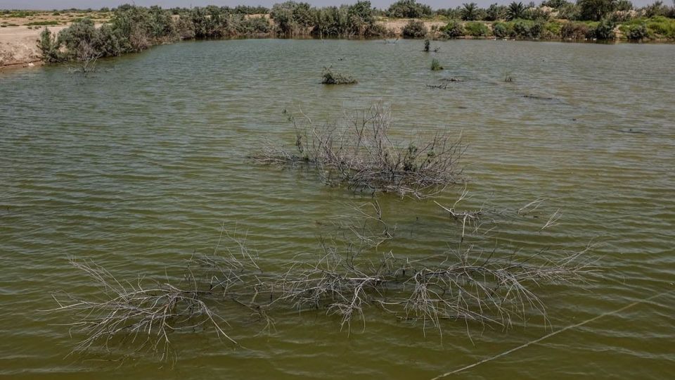 خشکسالی «منصوره»