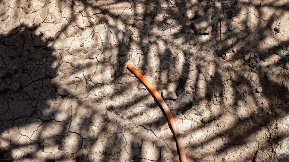 خشکسالی «منصوره»