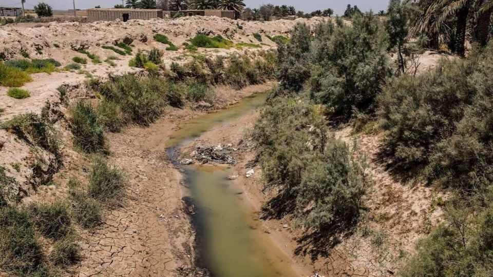 خشکسالی «منصوره»