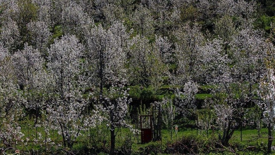 طبیعت منطقه ارسباران