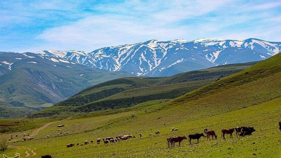 طبیعت منطقه ارسباران