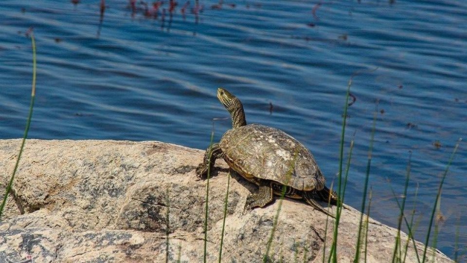 طبیعت منطقه ارسباران