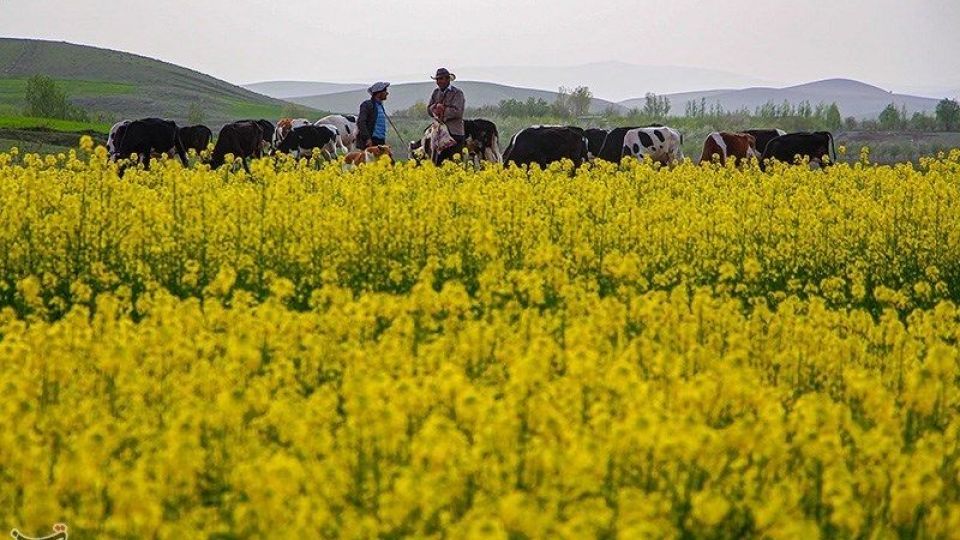 طبیعت منطقه ارسباران