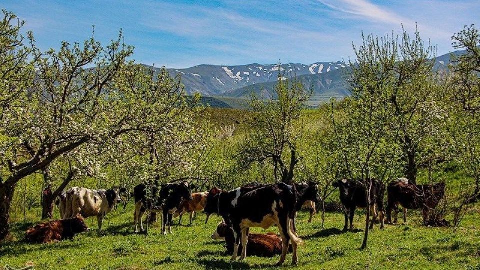 طبیعت منطقه ارسباران