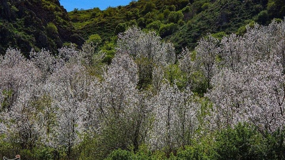 طبیعت منطقه ارسباران