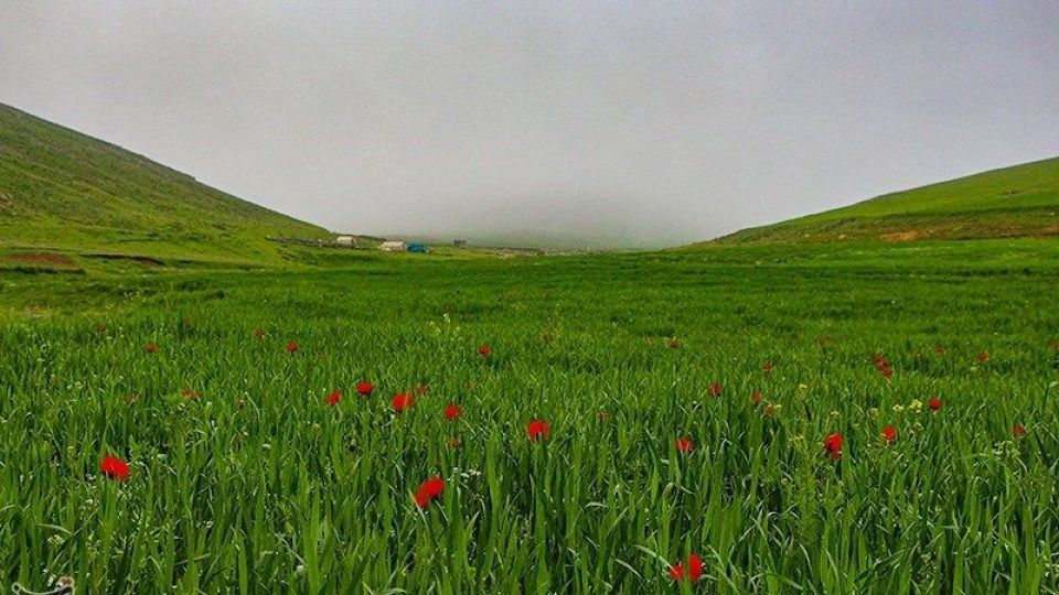 طبیعت منطقه ارسباران