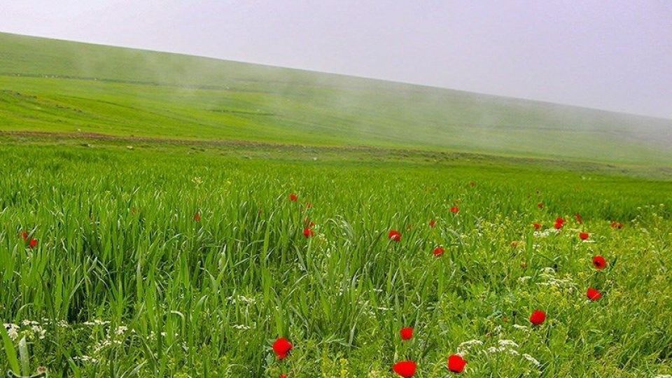 طبیعت منطقه ارسباران