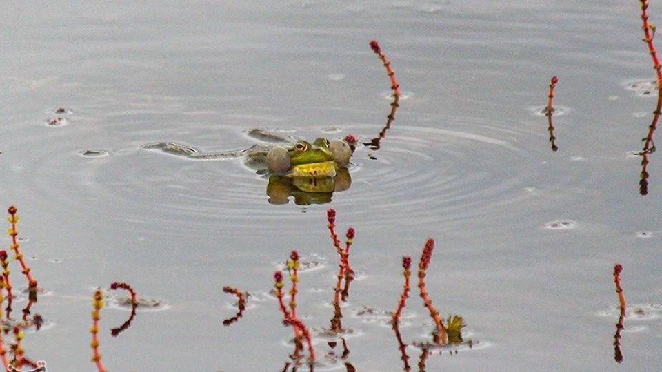 طبیعت منطقه ارسباران