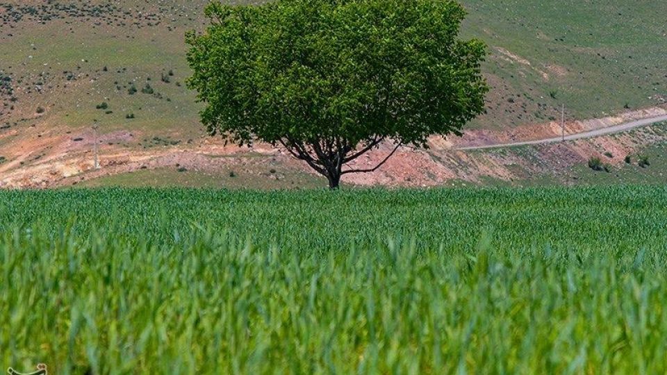 طبیعت منطقه ارسباران
