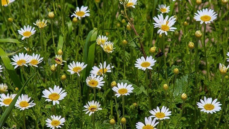 طبیعت منطقه ارسباران