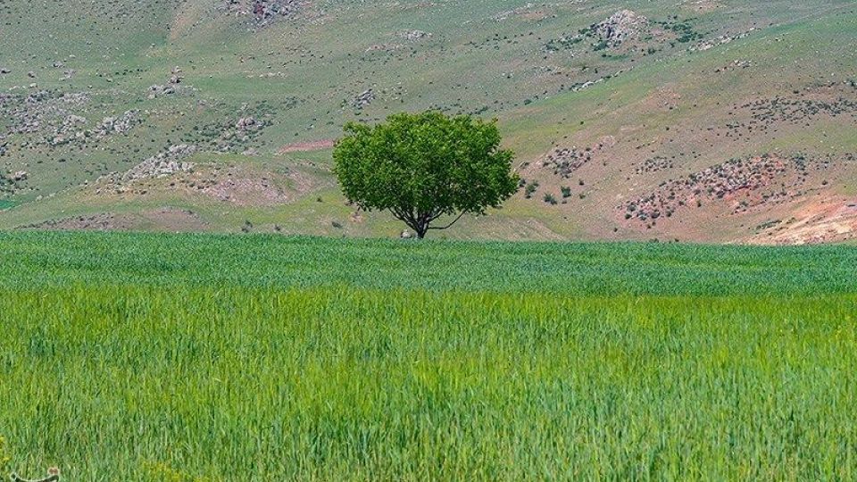 طبیعت منطقه ارسباران