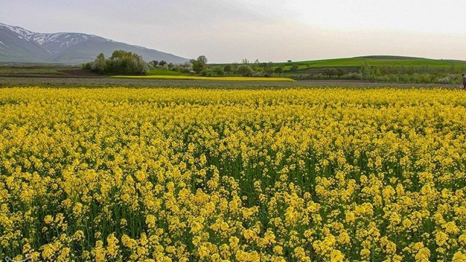 طبیعت منطقه ارسباران