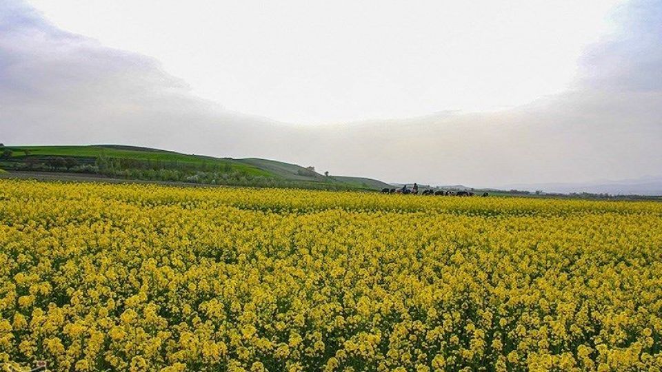 طبیعت منطقه ارسباران